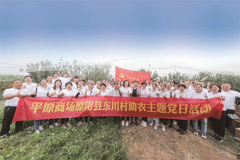 黨旗飄揚(yáng)在希望的田野上